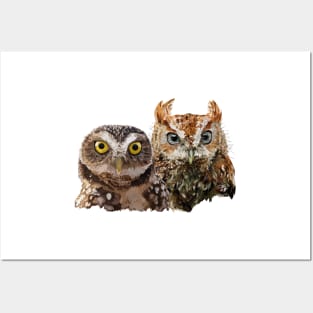 Little Owl and Scops Owl Posters and Art